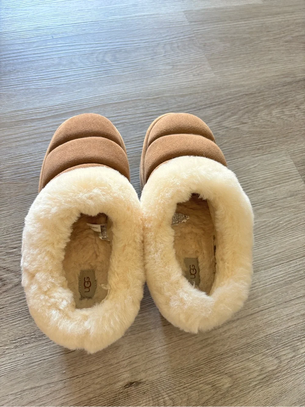 UGG Tazzlita Chestnut Womens Size 10